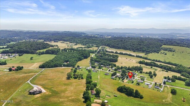 292 Leesburg Rd, Telford, TN 37690 - photo 39