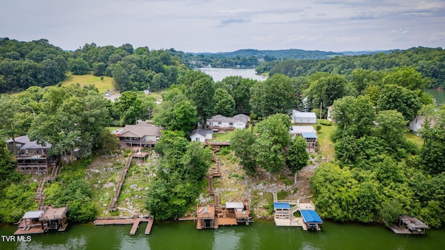 111 Redman Ln, Johnson City, TN 37615 - photo 68