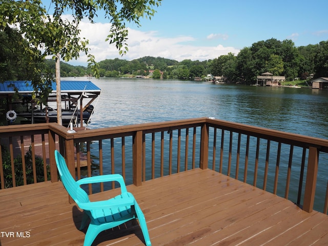 111 Redman Ln, Johnson City, TN 37615 - photo 3