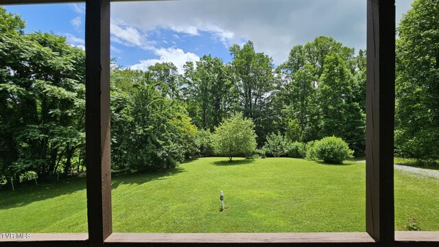 314 Observation Dr, Duffield, VA 24244 - photo 9