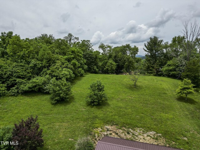 825 Cumberland St, Marion, VA 24354 - photo 25