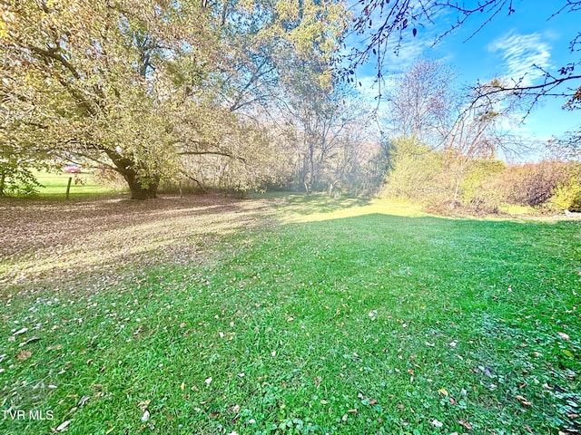 6361 Dr Thomas Walker Rd, Rose Hill, VA 24281 - view of grassy yard