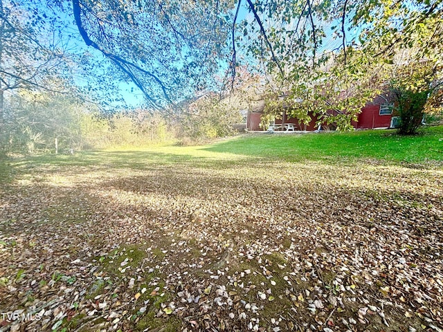 6361 Dr Thomas Walker Rd, Rose Hill, VA 24281 - view of grassy yard