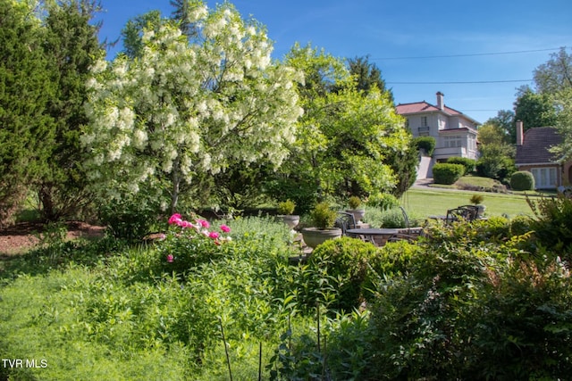 940 Park St, Bristol, VA 24201 - view of yard