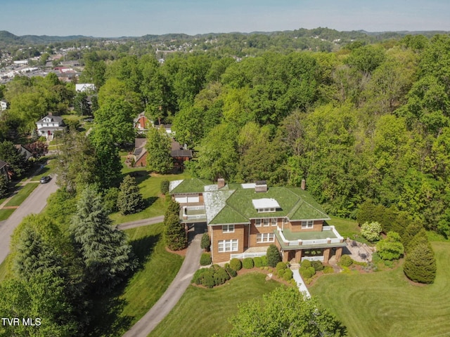 940 Park St, Bristol, VA 24201 - aerial view of property and surrounding area featuring a forest