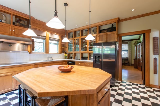 940 Park St, Bristol, VA 24201 - kitchen featuring stainless steel refrigerator with ice dispenser, light flooring, open shelves, butcher block countertops, and recessed lighting
