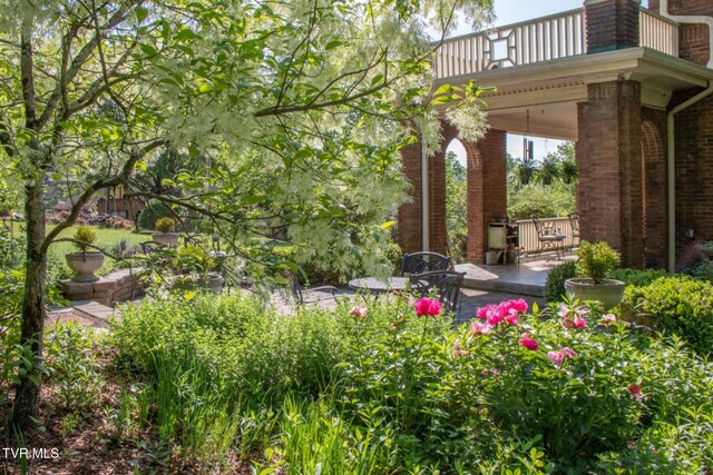 940 Park St, Bristol, VA 24201 - view of yard with a balcony and a patio
