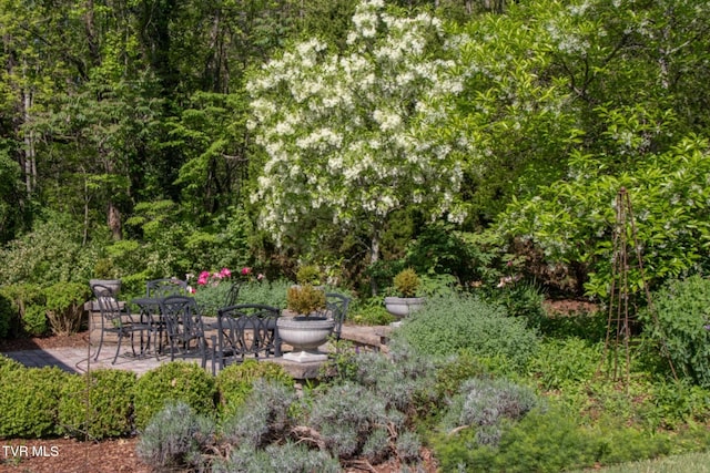 940 Park St, Bristol, VA 24201 - view of yard featuring a patio area