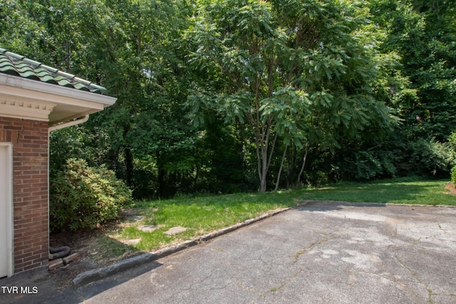 940 Park St, Bristol, VA 24201 - view of yard