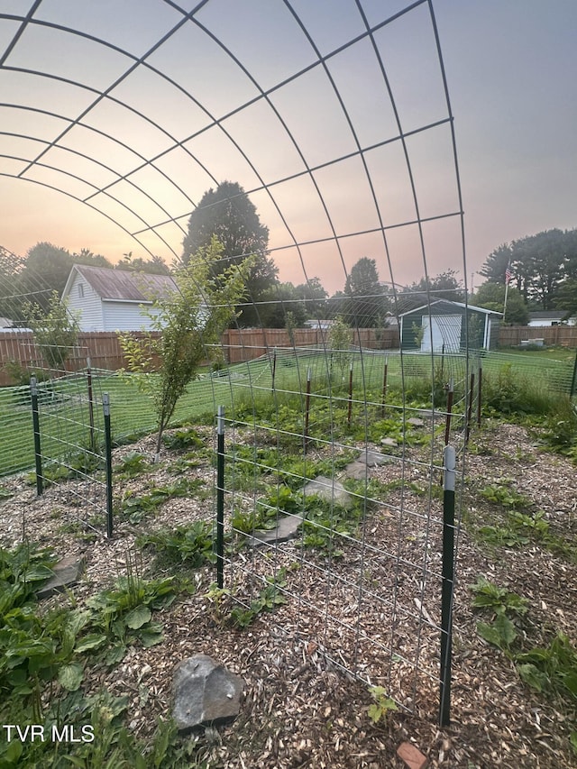 461 S Shady Ave, Damascus, VA 24236 - view of yard with a vegetable garden