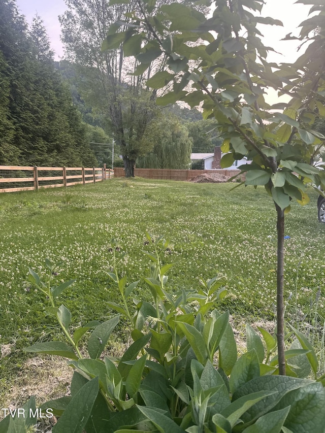461 S Shady Ave, Damascus, VA 24236 - view of yard