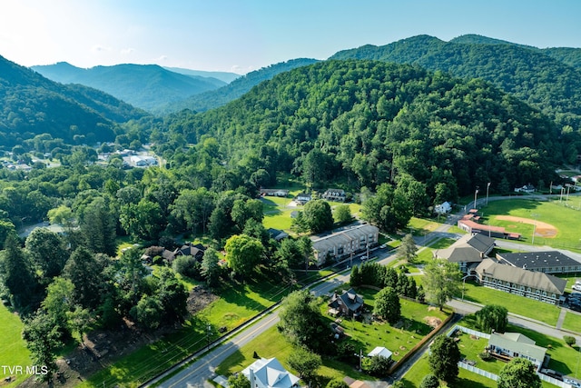 461 S Shady Ave, Damascus, VA 24236 - aerial view of property's location featuring mountains and a heavily wooded area