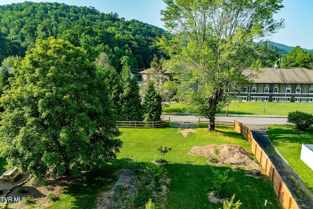 461 S Shady Ave, Damascus, VA 24236 - view of property's community