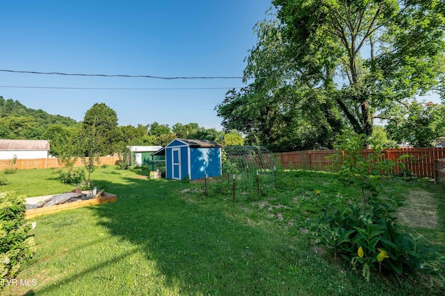 461 S Shady Ave, Damascus, VA 24236 - fenced backyard with a shed