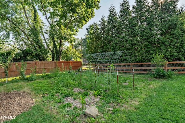 461 S Shady Ave, Damascus, VA 24236 - view of yard