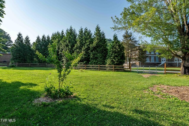 461 S Shady Ave, Damascus, VA 24236 - view of yard