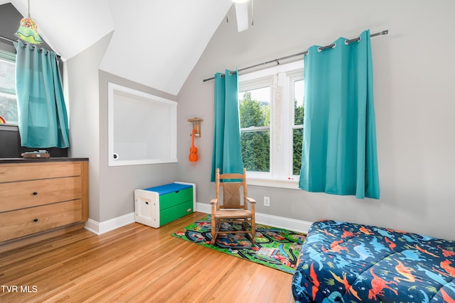 461 S Shady Ave, Damascus, VA 24236 - bedroom featuring lofted ceiling and wood finished floors
