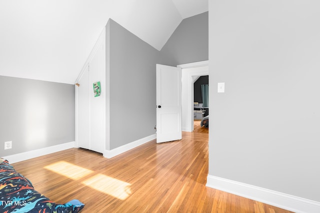461 S Shady Ave, Damascus, VA 24236 - bonus room featuring lofted ceiling and light wood-style flooring
