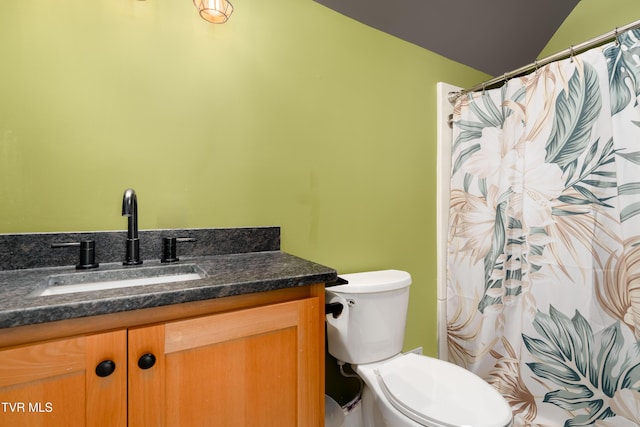 461 S Shady Ave, Damascus, VA 24236 - bathroom featuring vanity, vaulted ceiling, and a shower with curtain