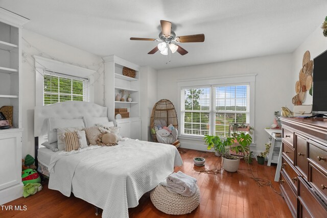 512 Shea Ct, Morristown, TN 37814 - bedroom with multiple windows, light wood-type flooring, and ceiling fan