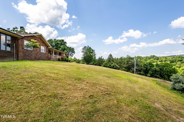 274 Hickam Orchard Rd, Kingsport, TN 37660 - view of green lawn