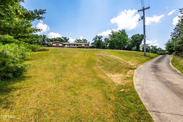 274 Hickam Orchard Rd, Kingsport, TN 37660 - view of road