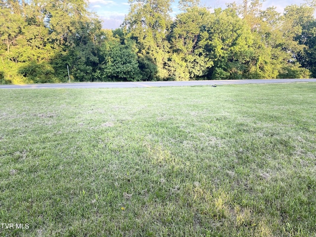 1959 Boones Creek Rd, Jonesborough, TN 37659 - view of grassy yard