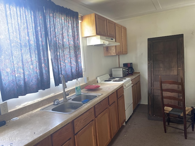 1959 Boones Creek Rd, Jonesborough, TN 37659 - kitchen with white range with electric stovetop, under cabinet range hood, brown cabinets, dark colored carpet, and light countertops