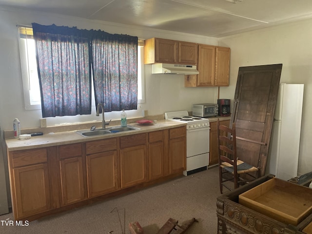 1959 Boones Creek Rd, Jonesborough, TN 37659 - kitchen featuring white appliances, under cabinet range hood, carpet, and healthy amount of natural light