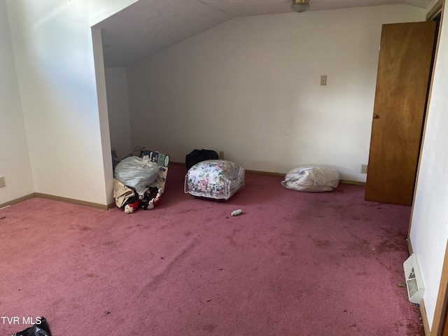 1959 Boones Creek Rd, Jonesborough, TN 37659 - additional living space with vaulted ceiling and carpet flooring