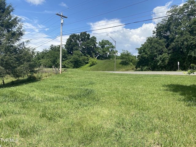 1959 Boones Creek Rd, Jonesborough, TN 37659 - view of green lawn