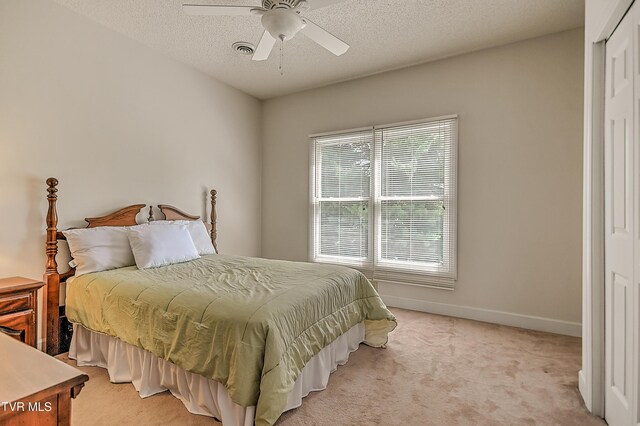 109 Woodbriar Dr, Johnson City, TN 37604 - photo 45