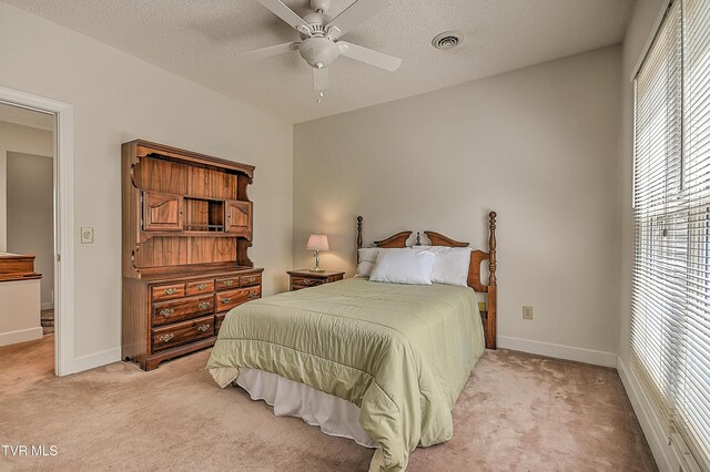 109 Woodbriar Dr, Johnson City, TN 37604 - photo 46