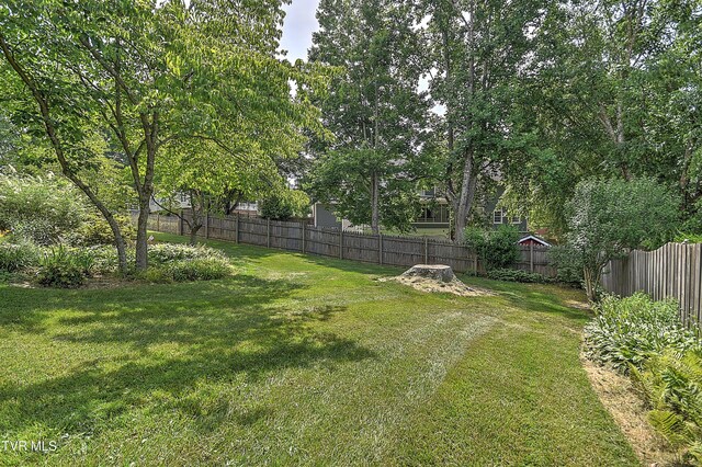 109 Woodbriar Dr, Johnson City, TN 37604 - photo 55