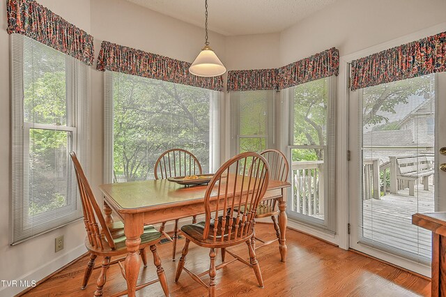 109 Woodbriar Dr, Johnson City, TN 37604 - photo 15