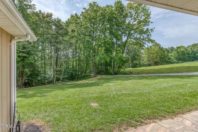 128 Tanner Dr, Elizabethton, TN 37643 - photo 8