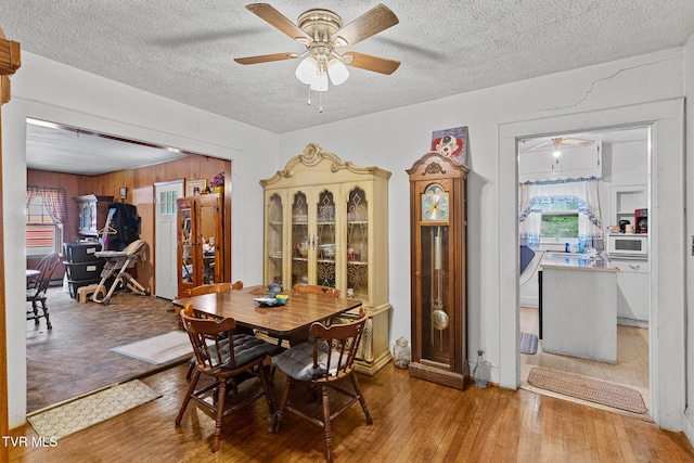 224 Baileyton Rd, Greeneville, TN 37745 - photo 6