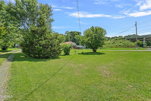 224 Baileyton Rd, Greeneville, TN 37745 - photo 27