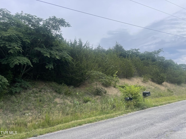 N/A Oakwood Road, Midway, TN 37809 - photo 3