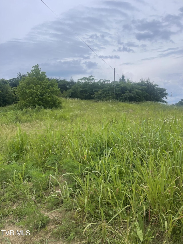 N/A Oakwood Road, Midway, TN 37809 - photo 1