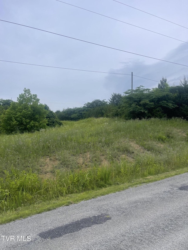 N/A Oakwood Road, Midway, TN 37809 - photo 2