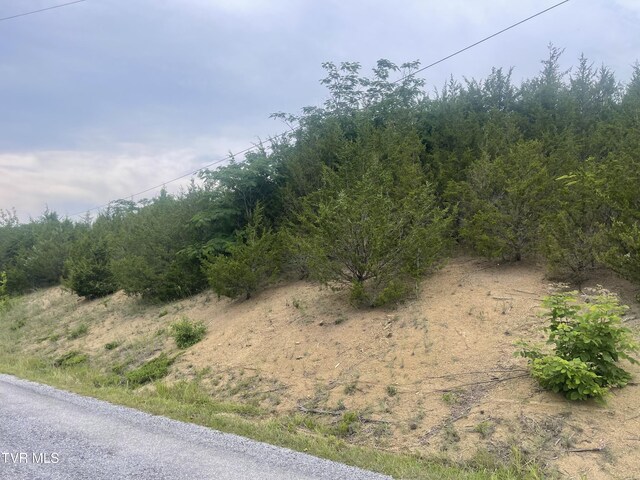 N/A Oakwood Road, Midway, TN 37809 - photo 5
