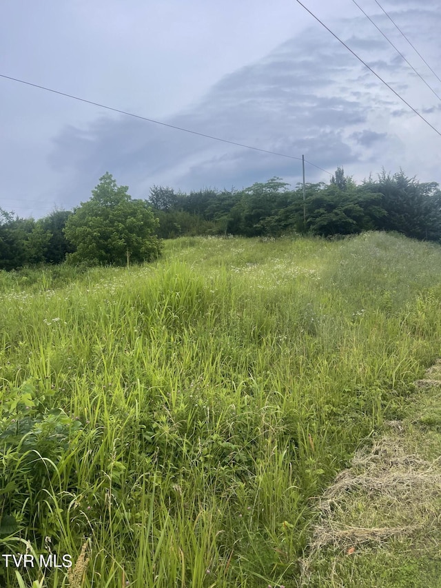 N/A Oakwood Road, Midway, TN 37809 - photo 4