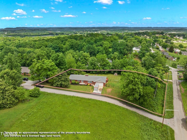 506 Gaye Dr, Jefferson City, TN 37760 - photo 2