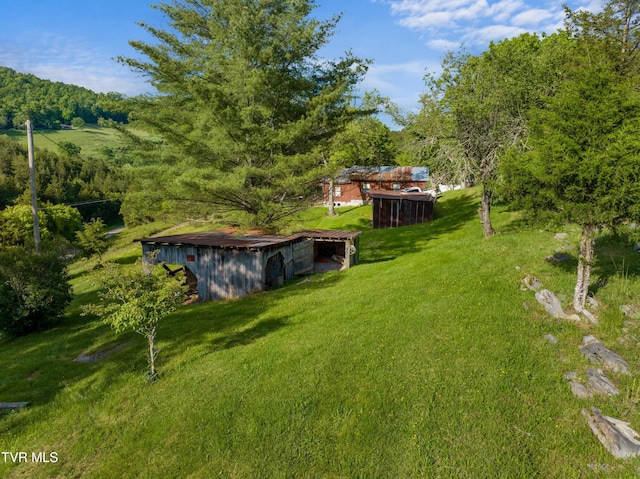 1250 Clinch Mountain Rd, Eidson, TN 37731 - photo 5