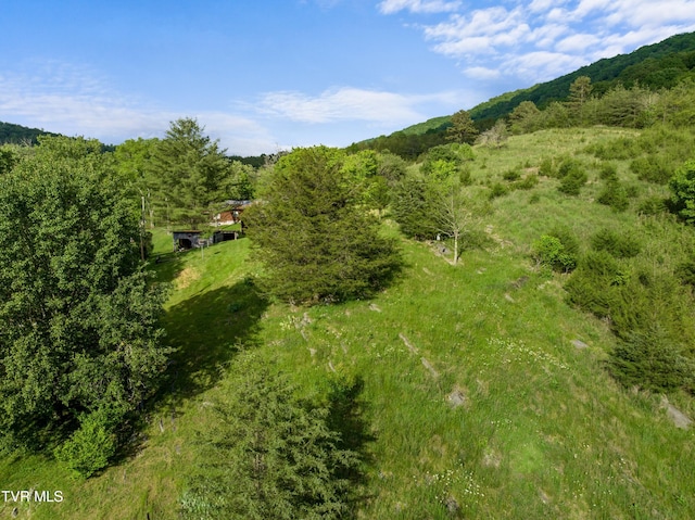 1250 Clinch Mountain Rd, Eidson, TN 37731 - photo 10