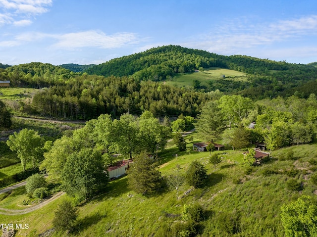 1250 Clinch Mountain Rd, Eidson, TN 37731 - photo 11