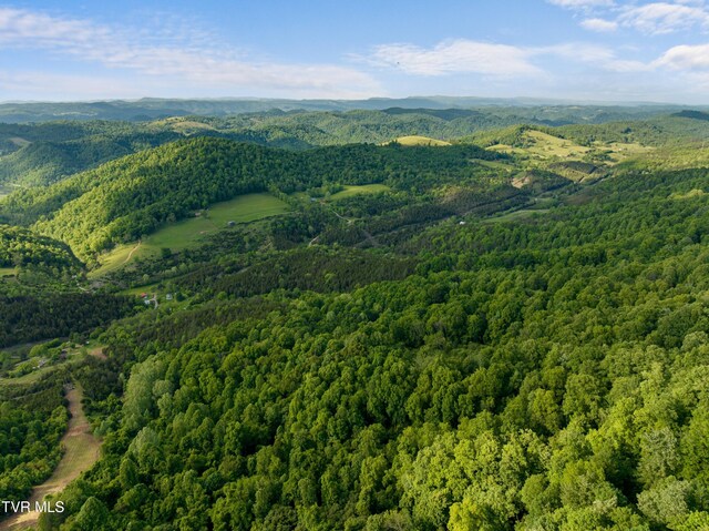 1250 Clinch Mountain Rd, Eidson, TN 37731 - photo 13