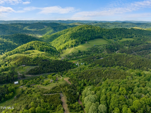 1250 Clinch Mountain Rd, Eidson, TN 37731 - photo 14