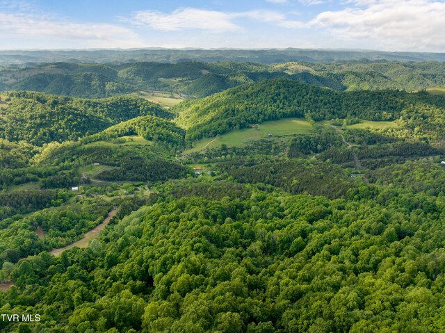 1250 Clinch Mountain Rd, Eidson, TN 37731 - photo 16